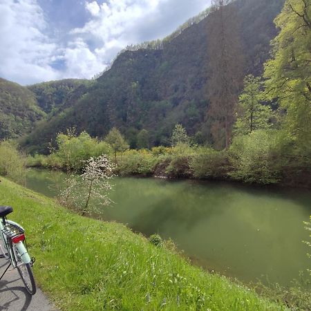 Revin  Entre Meuse Et Foret المظهر الخارجي الصورة