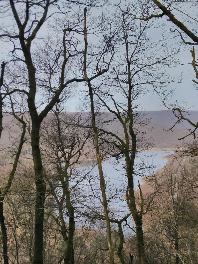 Revin  Entre Meuse Et Foret المظهر الخارجي الصورة