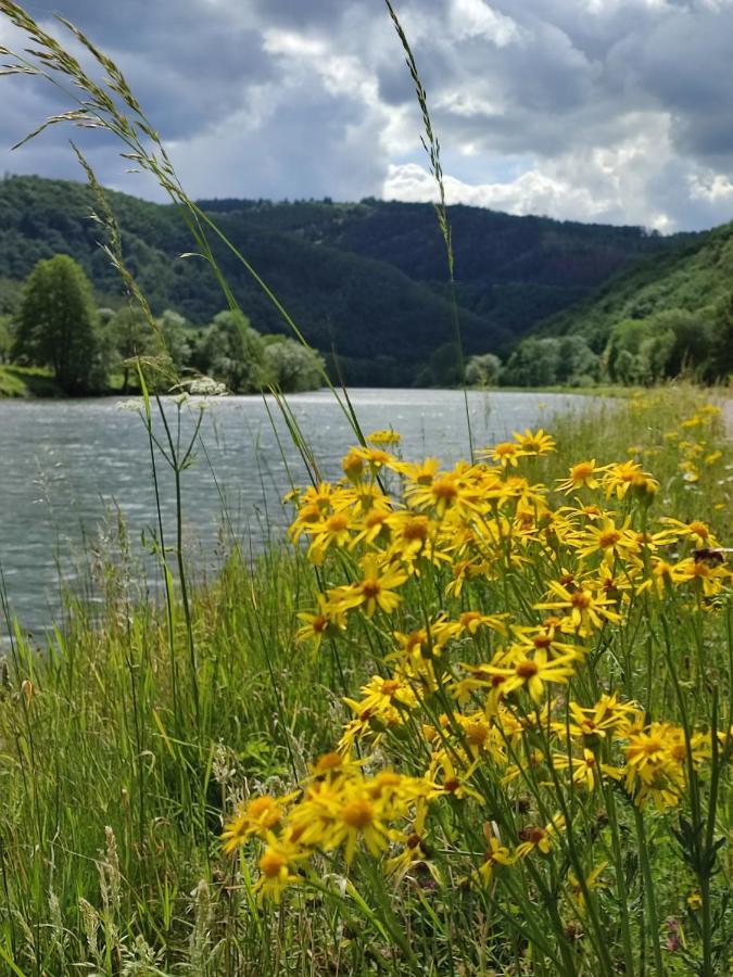 Revin  Entre Meuse Et Foret المظهر الخارجي الصورة