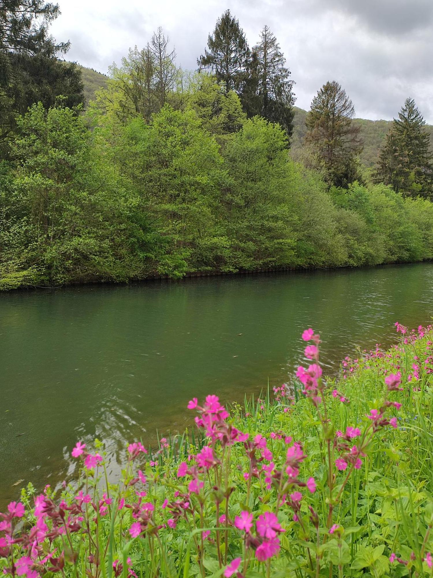 Revin  Entre Meuse Et Foret المظهر الخارجي الصورة