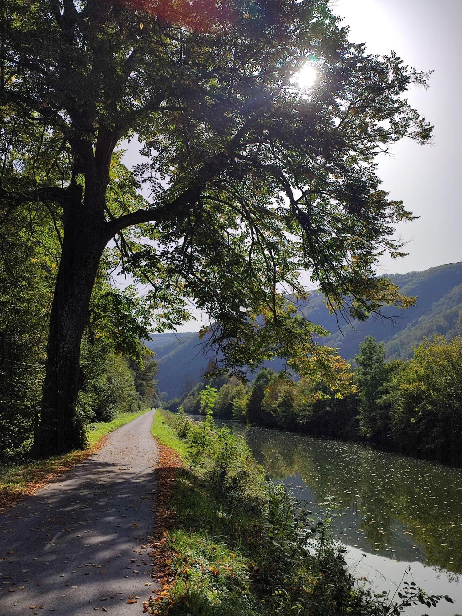 Revin  Entre Meuse Et Foret المظهر الخارجي الصورة