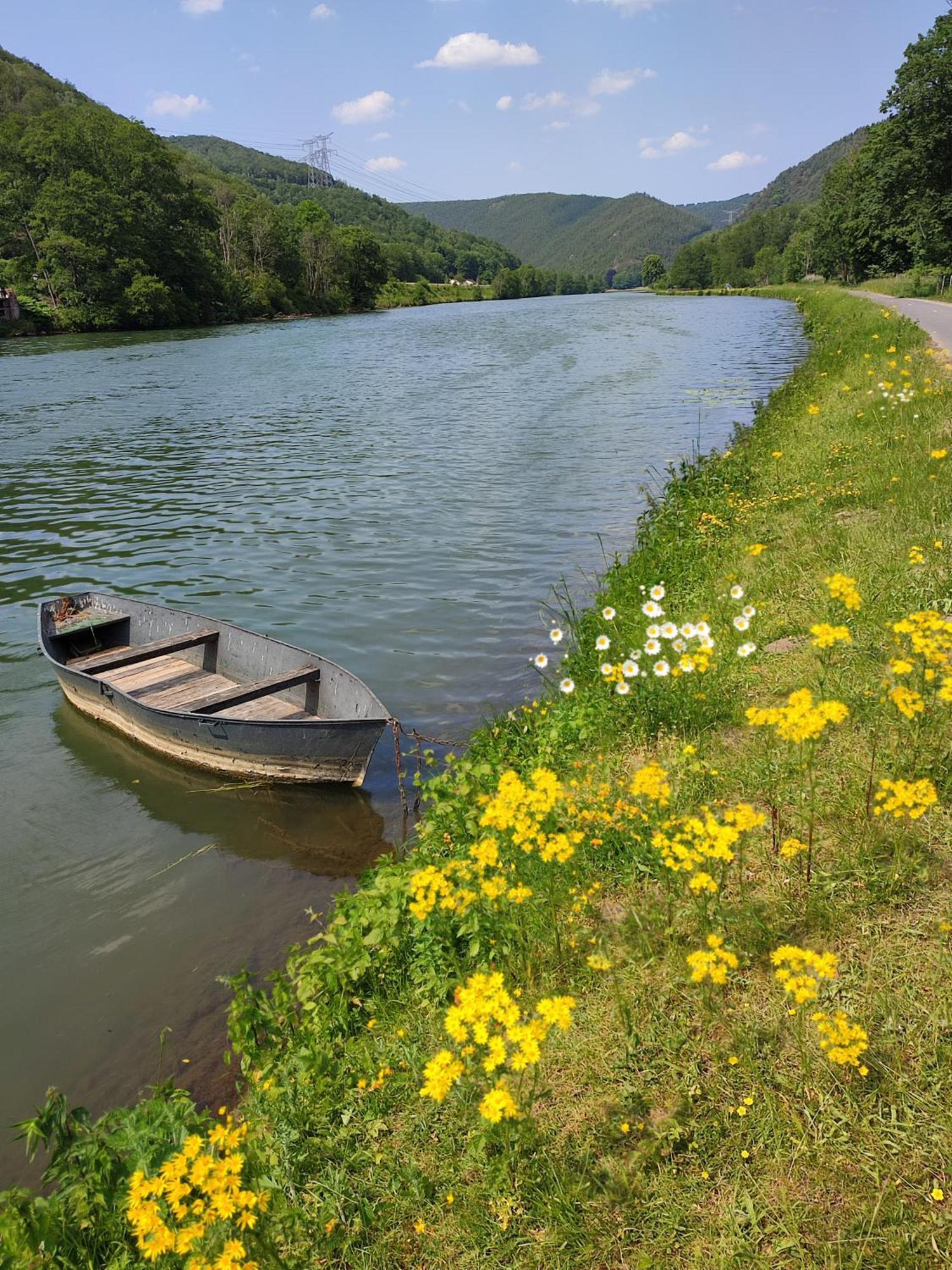 Revin  Entre Meuse Et Foret المظهر الخارجي الصورة