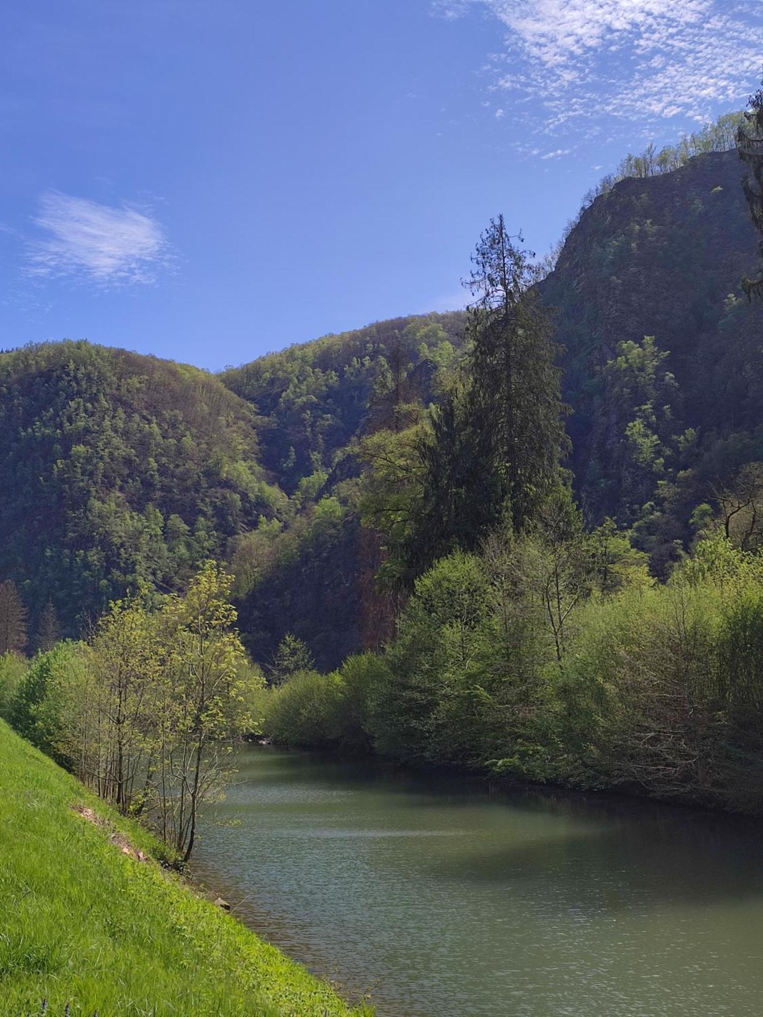 Revin  Entre Meuse Et Foret المظهر الخارجي الصورة